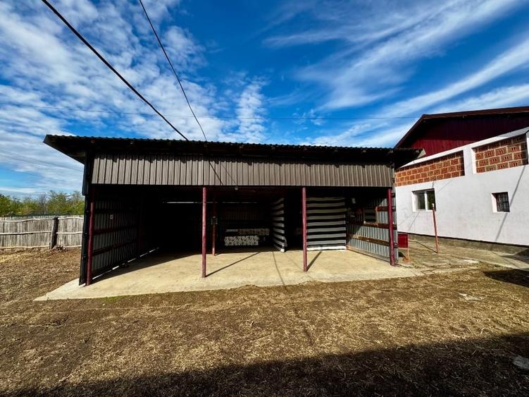 Casă de vânzare în Silisteni – 2 case, garaj, curte, grădină și livadă - 5