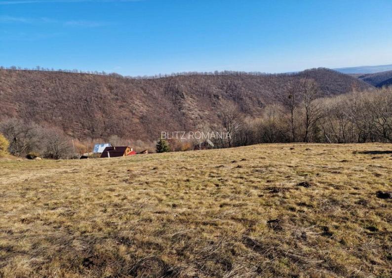 Teren 3600 mp, pretabil pt case de vacan?e, zona Valea Ieri Teren 3600 mp, pretabil pt case de vacan?e, zona Valea Ieri