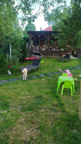 Vand - Apartament cu 3 camere si curte proprie - 8