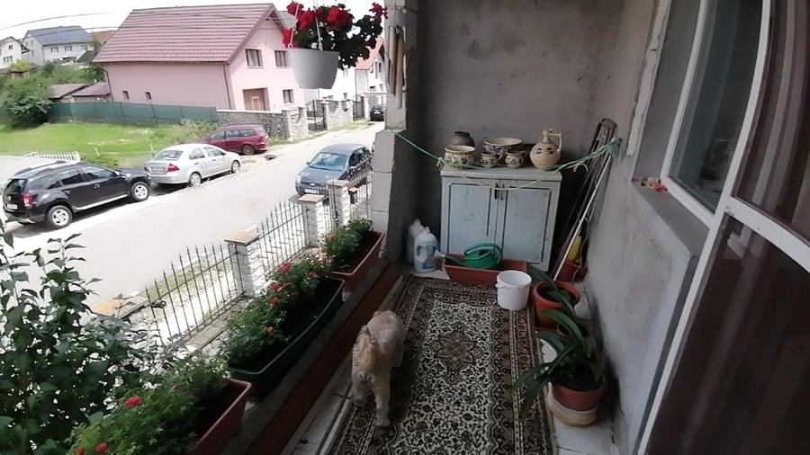 Casă cu gradina 1255mp cu sere, Copaceni , 25km de Cj-N,comision 0% - 5