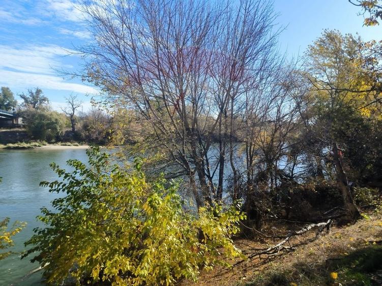 Inchiriere apartament 2 camere - Central, vedere la Mures, etaj 1 - 10