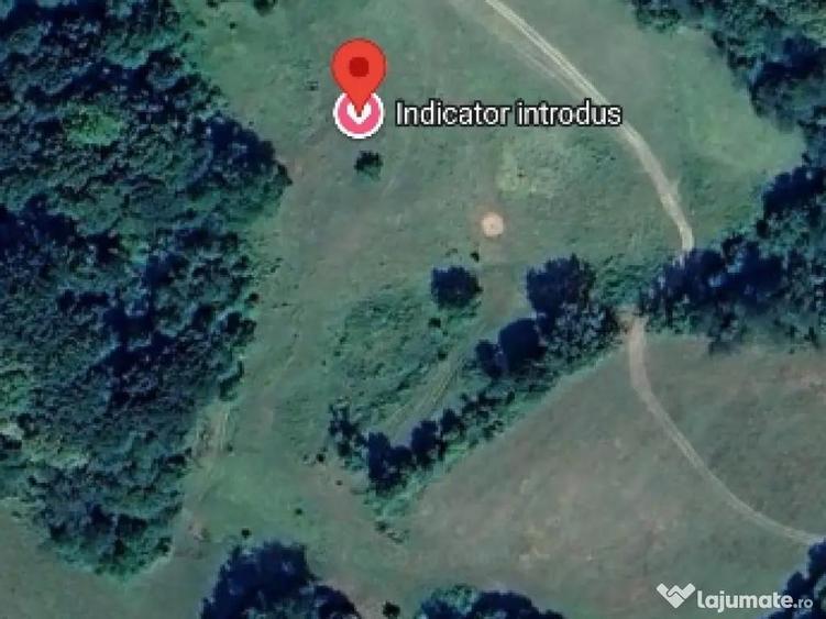 18.000 Mp teren extravilan in jud Sibiu comuna Mihaileni sat ?elcau pret negociabil - 6