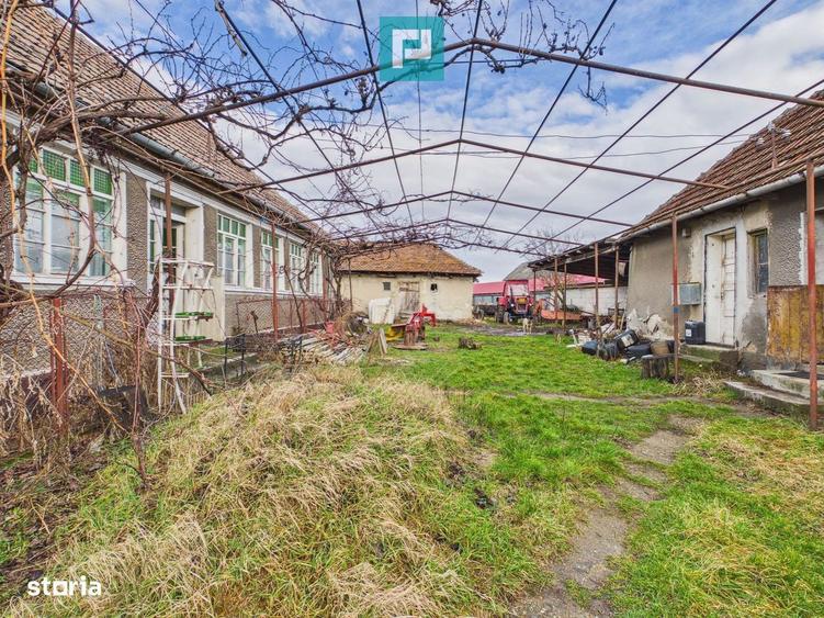 Casa cu teren generos, 4.000 mp, Chijic Bihor - 3