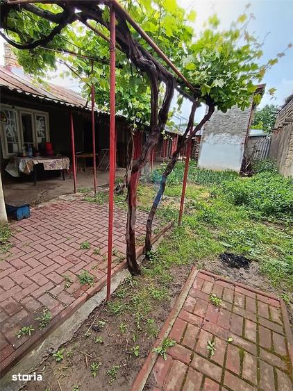 Casa 4 camere, Brailita, Sup Terenului 387 mp - 2