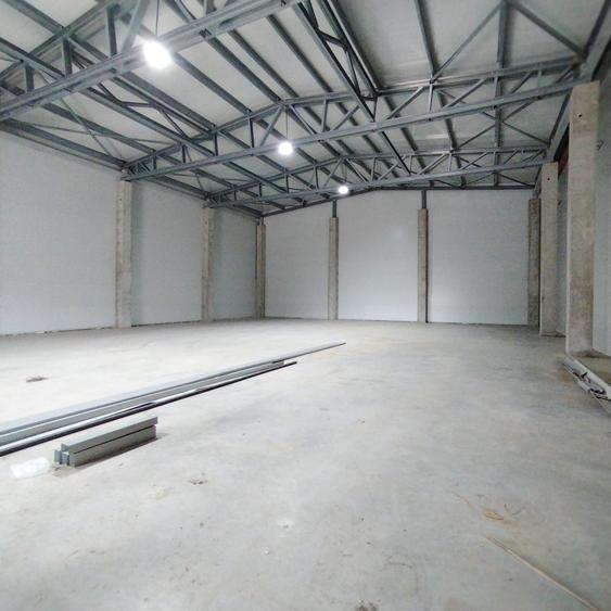 Hale industriale - Voluntari Afumati - 3