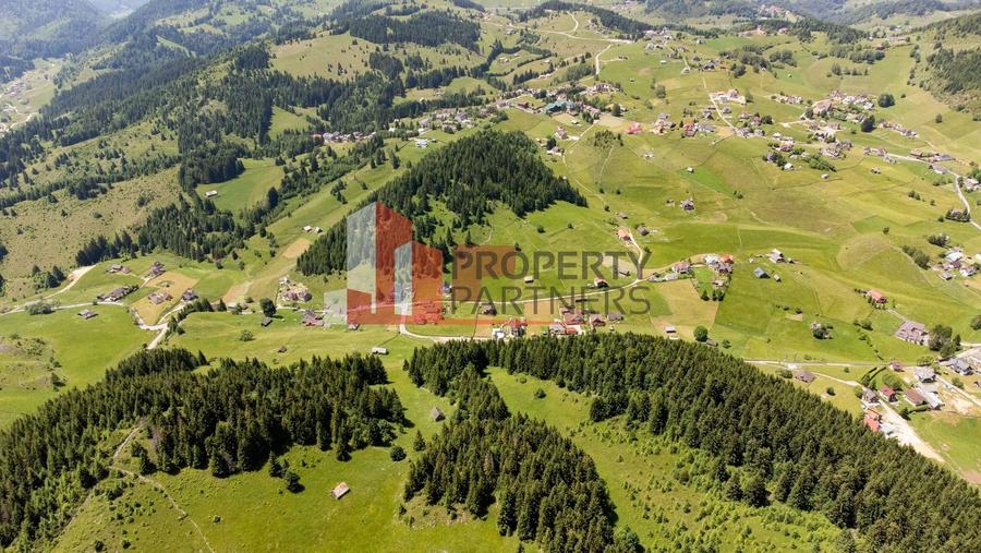 Teren Fundatica intravilan 4500 mp - 5