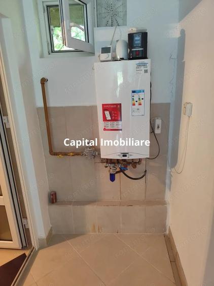 Vila superba 7 camere, Provita de Jos, 22.000 mp teren - 5