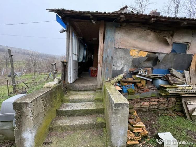 Teren 2.038 mp + Casa 50 mp de vanzare Sat Luncsoru, C - 8