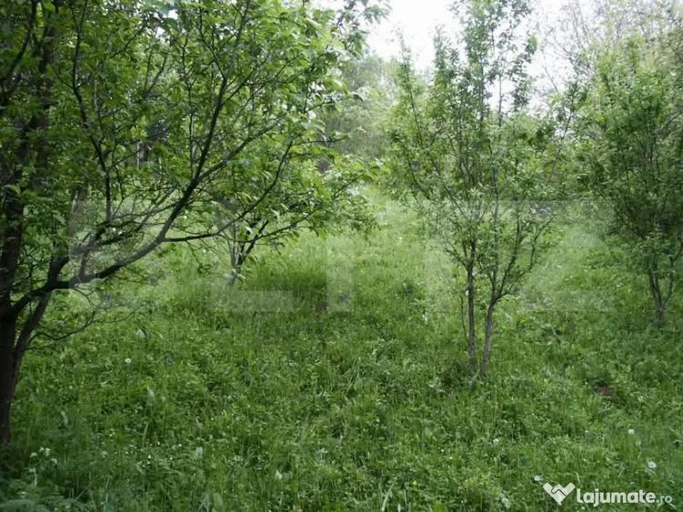 Teren de vanzare, 884 mp, zona Runcu - 5