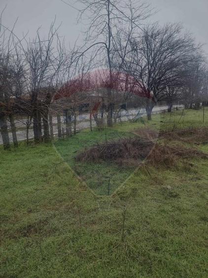 De vanzare teren intravilan la pret excelent Ialomita - 10