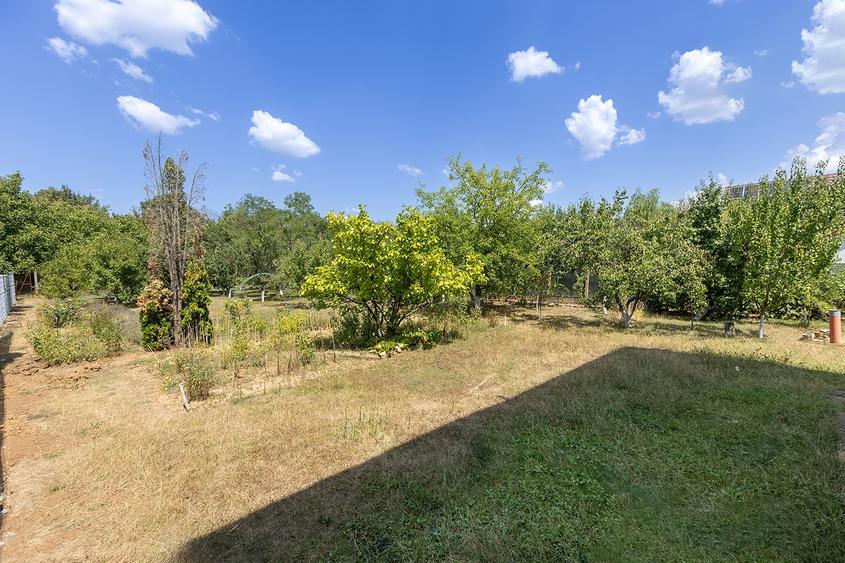 Locație rară: casă între pădure și apă, perfectă pentru un proiect de suflet - 32