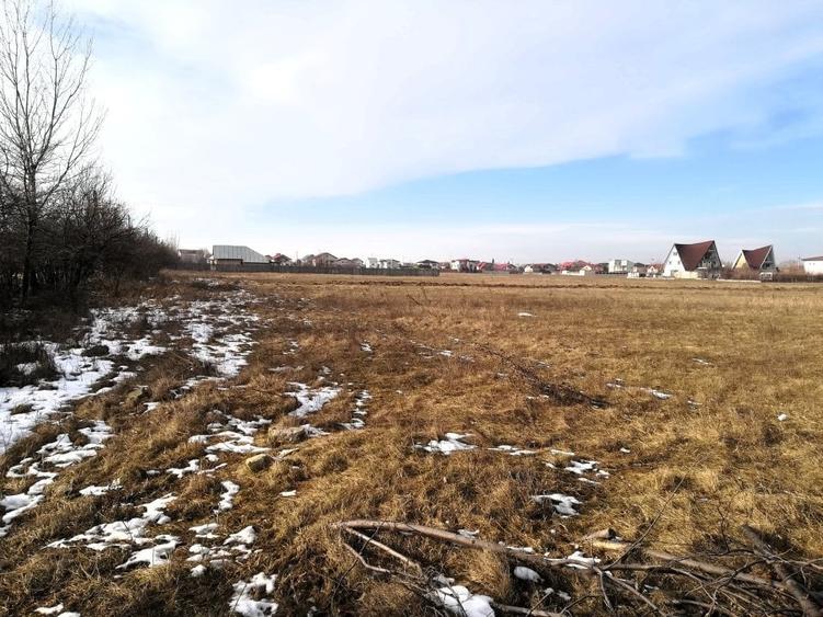 Vanzare teren intravilan Magurele / 2.500 mp / D: 17.55 m - 6