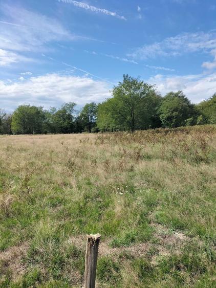 Teren de vanzare Runcu Gorj - 2