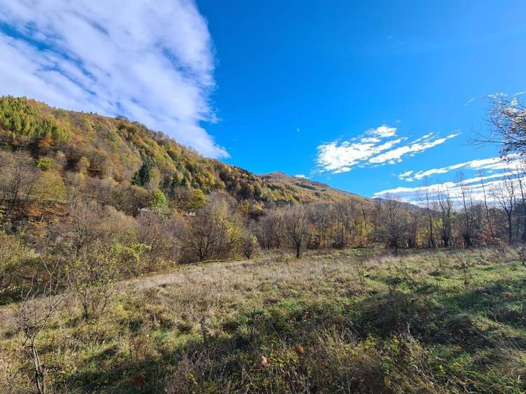 Vand teren Valea Doftanei in coada lacului Paltinu - 15