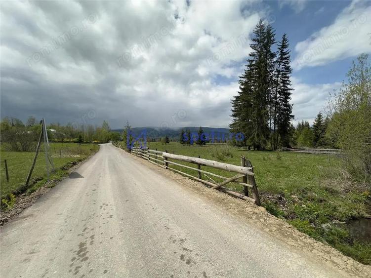 Teren de 6000 mp, în Șaru Dornei