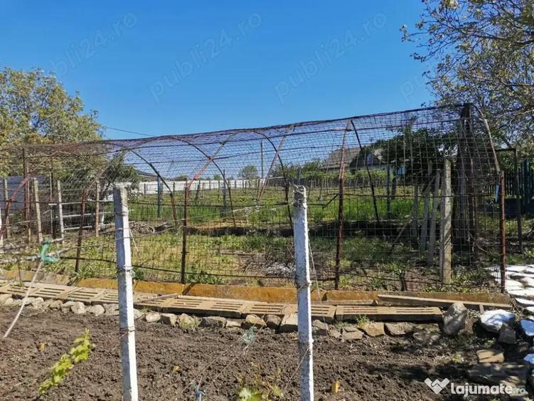 Teren de vanzare cu bucatarie si magazii 1128mp - 2