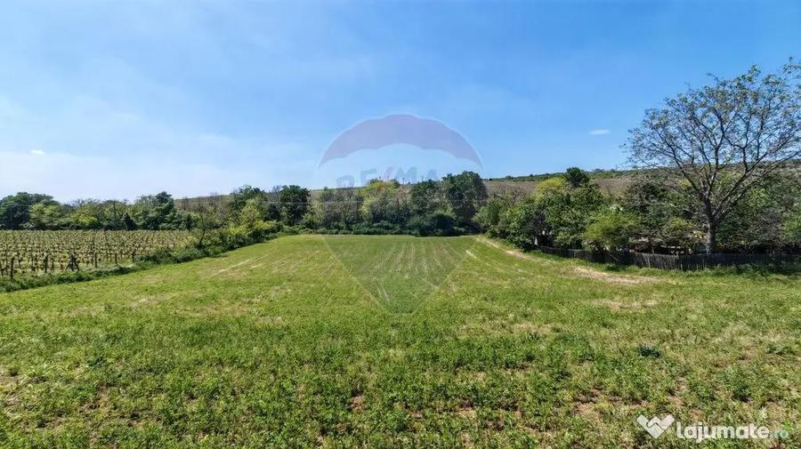 Tere cu constructie de vanzare in Urlati - 5