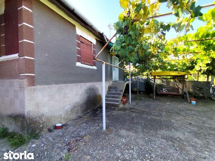 Casa la tara, Calea Mare, Bihor, teren mare, 2 intrari auto vanzare - 8