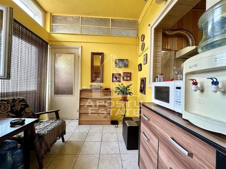 Casa individuala cu 6 camere situata in zona Elisabetin - 7