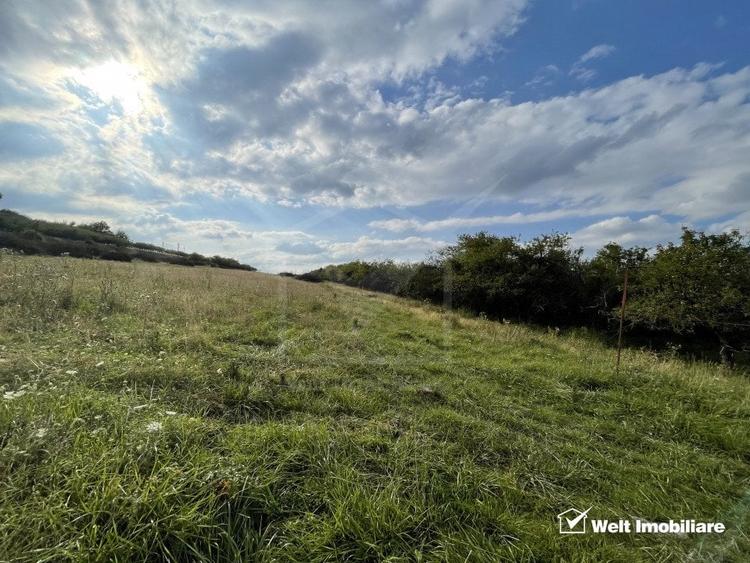 Teren in zona Wonderland cu certificat de urbanism pentru 4 case, view superb - 1