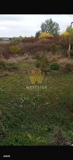 Teren intravilan de vanzare, Calea Lugojului - 3