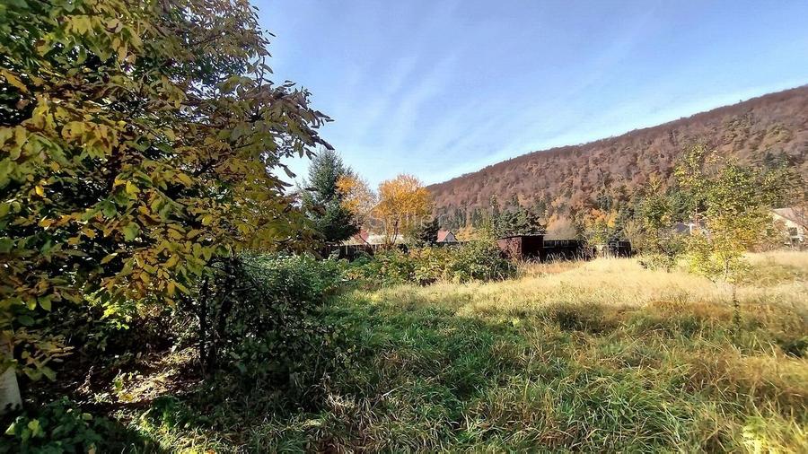 Teren Intravilan Bunloc - 8