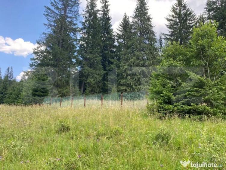 Oportunitate de Investi?ie: Teren de 10.000 mp la Intrarea - 4