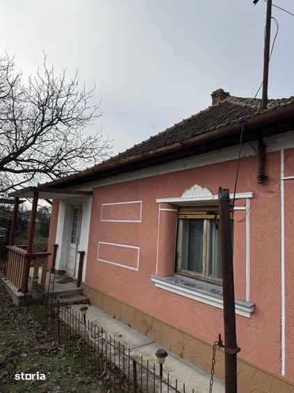 Casa de vanzare in Diosig curte generoasa + anexe 20 ari - 3