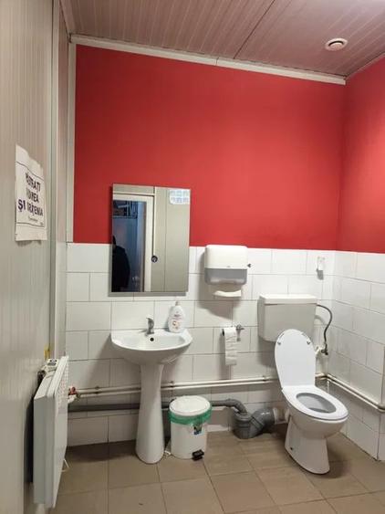 Hala 300 mp  incinta Faur - 6