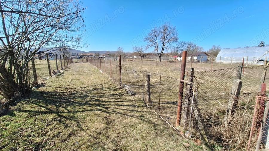 Ofer spre inchiriere teren - 3