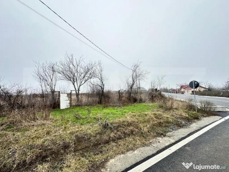 Teren de vanzare, 7200 mp, parcelabil, zona Bogdanesti - 1