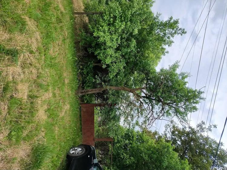 Vand teren pentru casa in Pasareni - 1