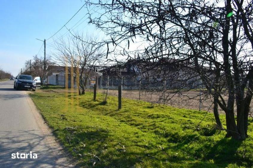 Vanzare Teren intravilan, 5600 mp in Mircea Voda - Dambovita. - 2