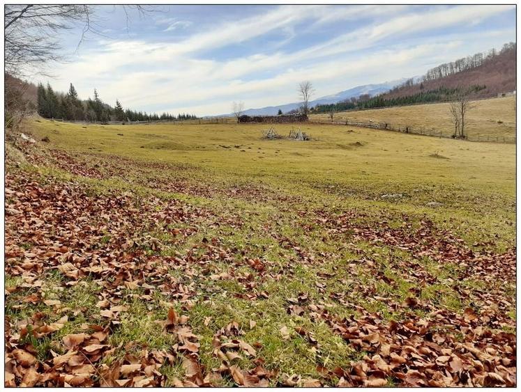 Teren Cu Priveliste Panoramica Si Acces Din Drumul Principal - 2