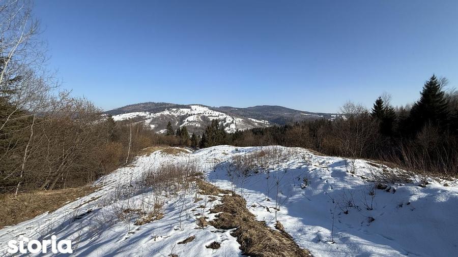 Teren extravilan 2.1 ha Salatruc, Vama - 6
