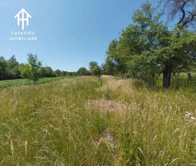 Casa de vanzare in Temere?ti, jude?ul Timi? - 9