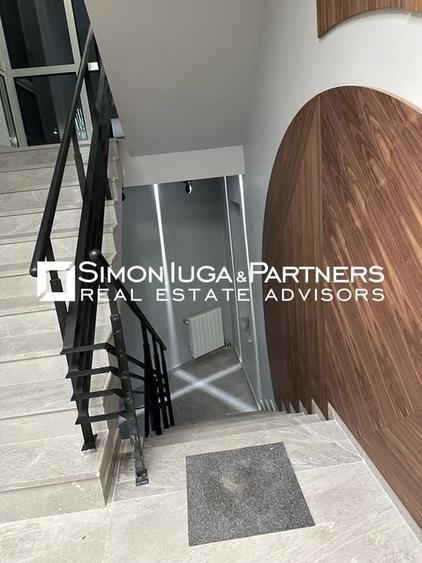 Birouri de inchiriat Brancusi - 7