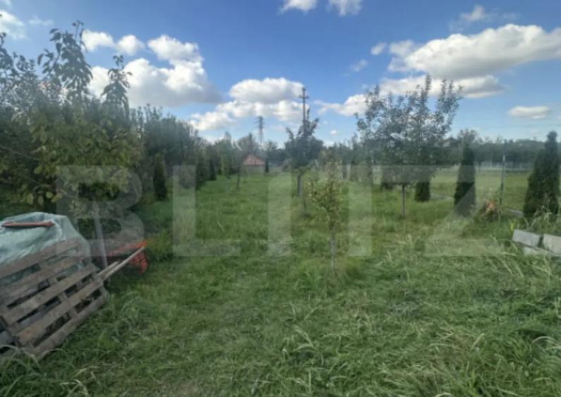 Casa 216 mp, 900 mp teren, zona Odoreului - 9