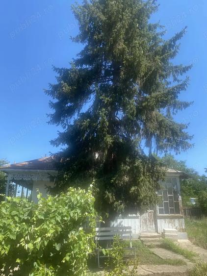 Casa batraneasca + teren, oras Insuratei, jud. Braila - 4