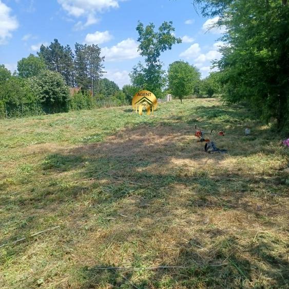 4 X Loturi Teren Intravilan in Saftica – Balotesti |  100m de DN1 - 1