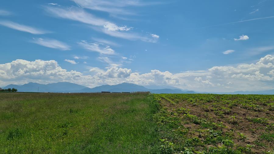 TEREN INTRAVILAN  BOD - 1200 mp pentru constructii case Sp+P+E+M - 8