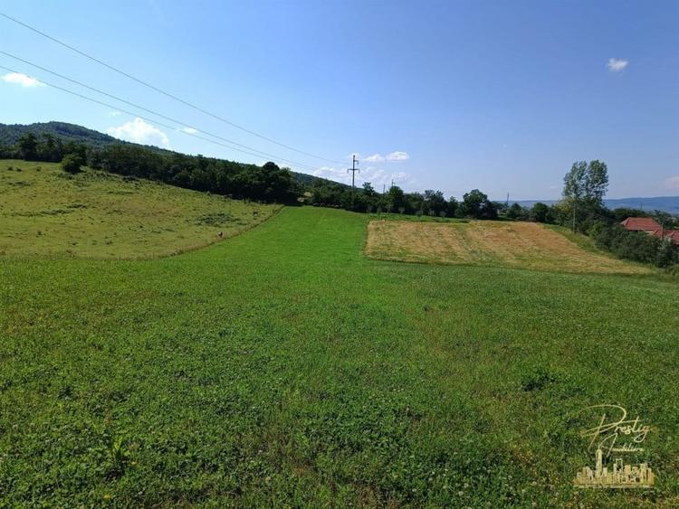 Teren extravilan 9093 mp de vanzare in Josani, com. Magesti - Bihor - 5