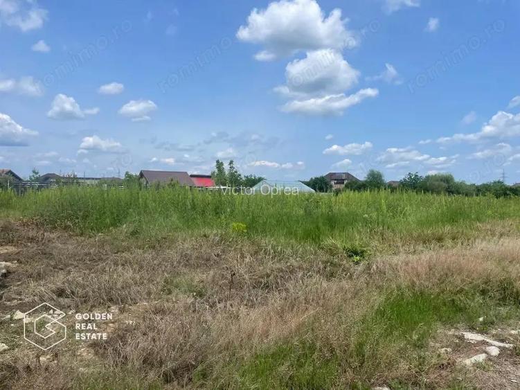 Teren construibil Balotesti, Str. Orhideelor, 1240 mp