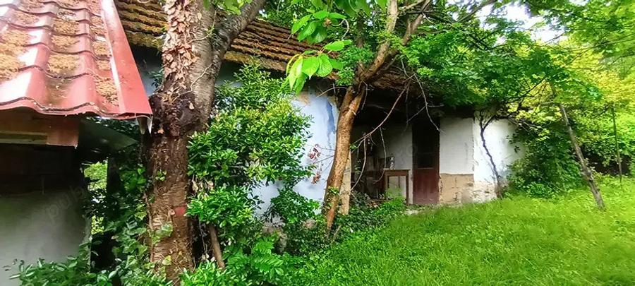 Vand proprietate in Vadu Cri?ului, jud. Bihor - 6