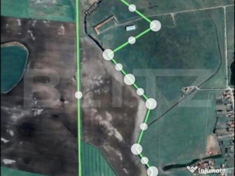 Teren intravilan, arabil, 39 ha, Sanmartinul Sarbesc - 10