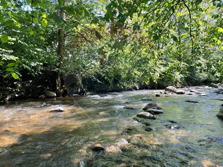 Teren 2,932mp Sarbi (Budesti) / Drumul Principal - 4