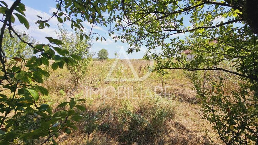 Casa de vanzare Botorogi - 6