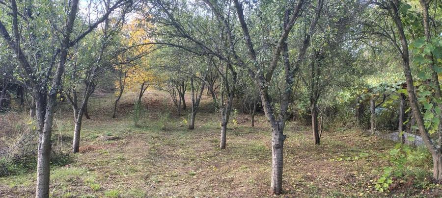 Casa de vanzare in ilovat, mehedinti - 8