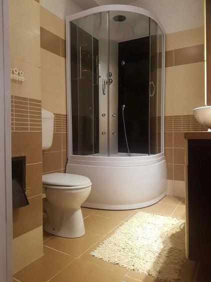 Apartament cu 1 camera de inchiriat, spatios, complet utilat Calea Baciului / Baciu / blocurile de deasupra de Pet - 5