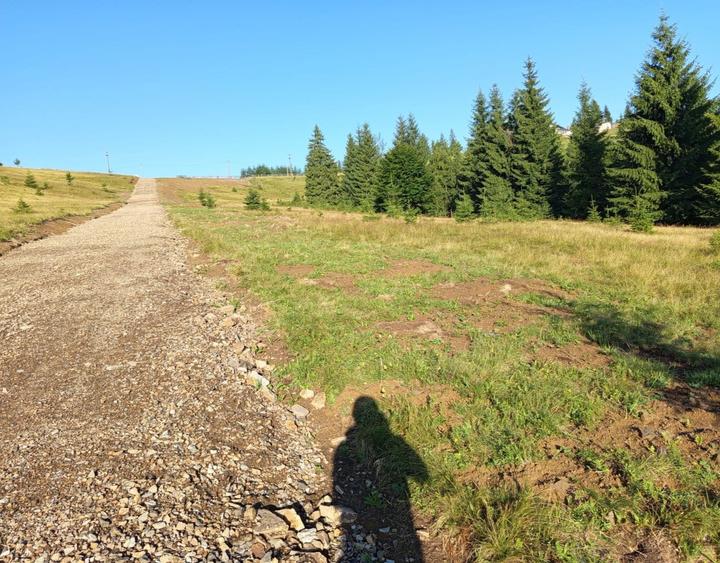 Teren Piatra Fantanele / Pasul Tihuta 1.450 euro/ar - 7